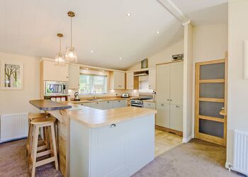 Typical Foxglove 4 Platinum Plus