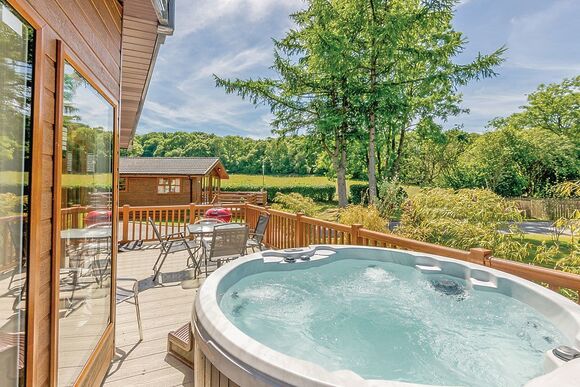 Typical Foxglove 4 Platinum Plus