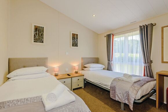 Typical Foxglove 4 Platinum Plus