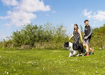Pevensey Bay Holiday Park, Pevensey Bay