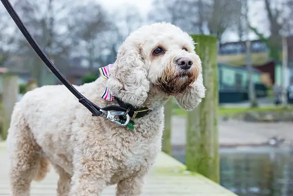 Fallbarrow, Bowness-on-Windermere