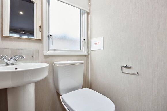 Pochard - Heacham Beach, Heacham