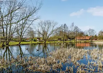 The park setting<br />