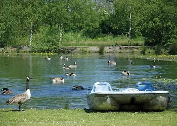 Natural fishing lake