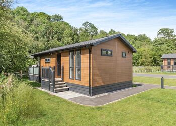 Draig Premier - Plas Isaf Lodge Retreat, Caerwys 