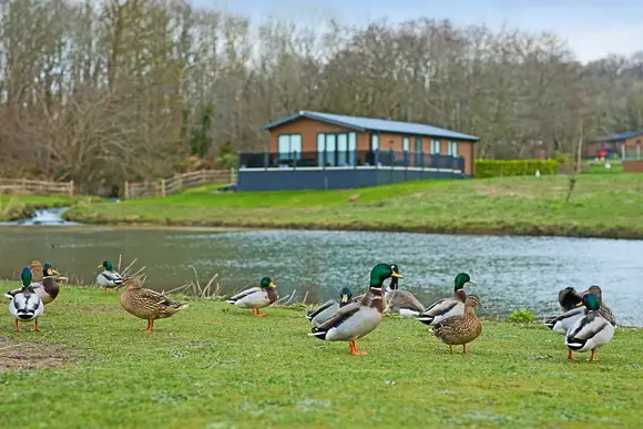 Plas Isaf Lodge Retreat, Caerwys 