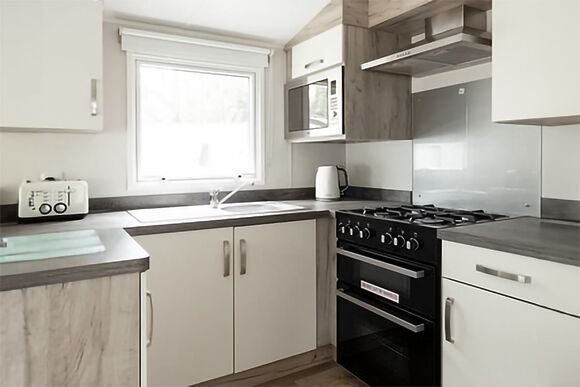 Chipmunk - Todber Valley, Gisburn, Ribble Valley