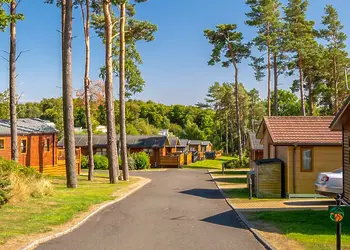 Percy Wood Country Park, Morpeth