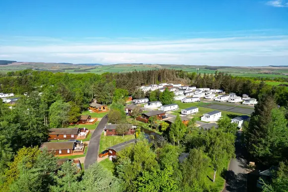 Percy Wood Country Park, Morpeth