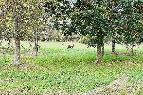 Percy Wood Golf and Country Park, Morpeth