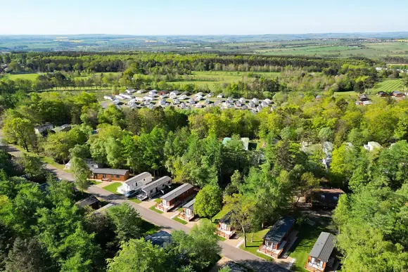 Percy Wood Country Park, Morpeth