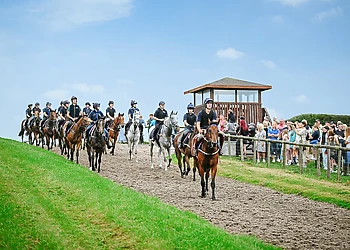 Pant Wilkin Lodges and Equestrian Centre, Cowbridge
