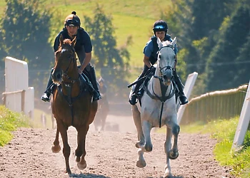 Pant Wilkin Lodges and Equestrian Centre, Cowbridge