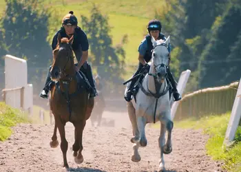 Pant Wilkin Lodges and Equestrian Centre, Cowbridge