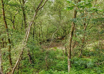 Quarry Walk Lodges, Freehay, Cheadle