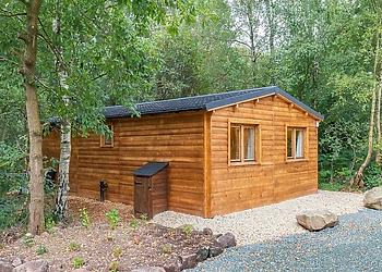 Robin Log Cabin 