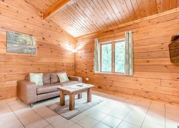 Woodpecker Log Cabin 2 (Pet) - Quarry Walk Lodges, Freehay, Cheadle