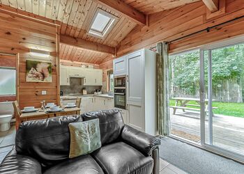 Squirrel Log Cabin 4 (Pet) - Quarry Walk Lodges, Freehay, Cheadle