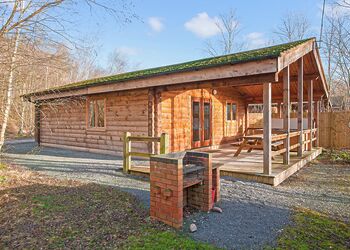 Badger Log Cabin 6 (Pet) - Quarry Walk Lodges, Freehay, Cheadle