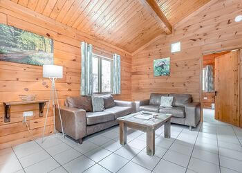 Badger Log Cabin 4 (Pet) - Quarry Walk Lodges, Freehay, Cheadle