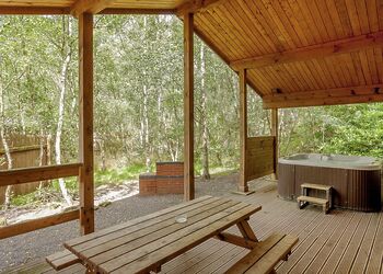 Badger Plus (Pet) - Quarry Walk Lodges, Freehay, Cheadle