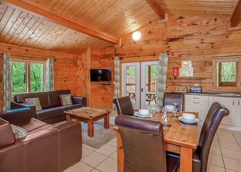 Badger Plus (Pet) - Quarry Walk Lodges, Freehay, Cheadle