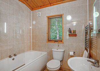 Badger Plus (Pet) - Quarry Walk Lodges, Freehay, Cheadle