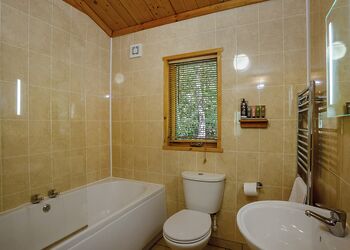 Badger Plus (Pet) - Quarry Walk Lodges, Freehay, Cheadle