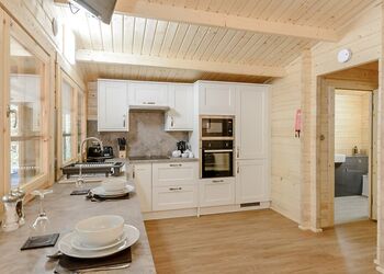 Hedgehog (Pet) - Quarry Walk Lodges, Freehay, Cheadle