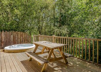 Squirrel Log Cabin 4 - Quarry Walk Lodges, Freehay, Cheadle