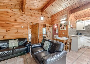 Squirrel Log Cabin 4 - Quarry Walk Lodges, Freehay, Cheadle