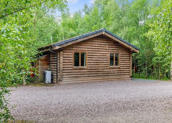 Badger Log Cabin 6 - Quarry Walk Lodges, Freehay, Cheadle