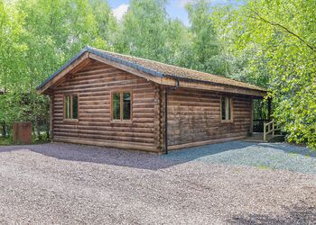 Badger Log Cabin 4 - Quarry Walk Lodges, Freehay, Cheadle