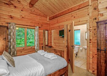 Badger Plus 6 - Quarry Walk Lodges, Freehay, Cheadle