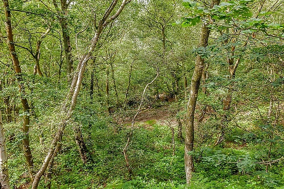Quarry Walk Lodges, Freehay, Cheadle