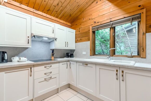Woodpecker Log Cabin 2 (Pet) - Quarry Walk Lodges, Freehay, Cheadle
