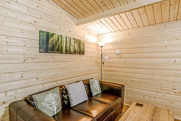 Hedgehog (Pet) - Quarry Walk Lodges, Freehay, Cheadle