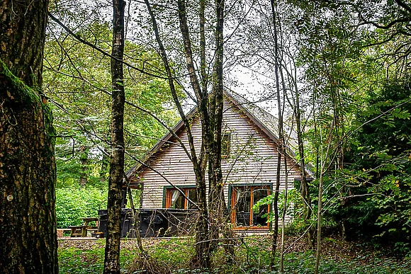 Denstone - Ramshorn Estate Woodland Lodges, Oakamoor