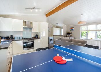 Spa Castaway (Pet Garden) - Raywell Hall Country Lodges, Raywell, Beverley