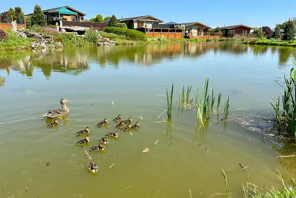 Raywell Hall Country Lodges, Raywell, Beverley