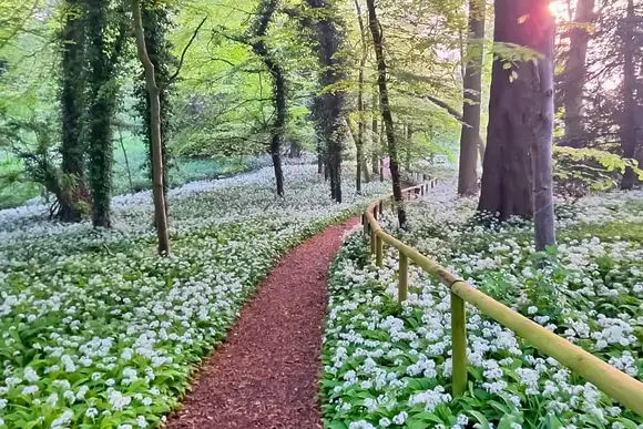 Raywell Hall Country Lodges, Raywell, Beverley