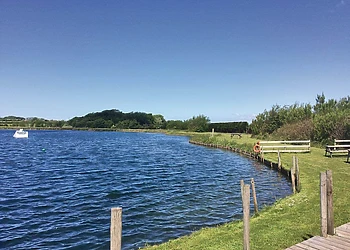 The park setting