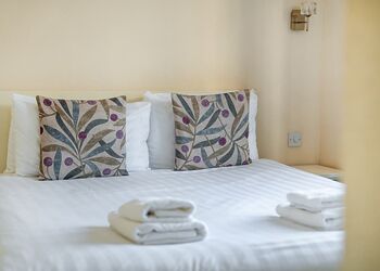 Falcon VIP - Penrhos Park, Llanrhystud, Cardiganshire