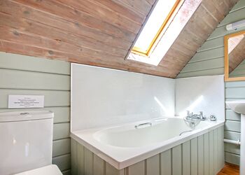 Kestrel VIP, Kestrel VIP (Pet) - Penrhos Park, Llanrhystud, Cardiganshire