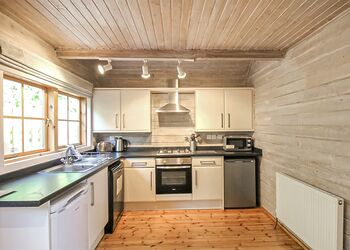 Kestrel VIP (Pet), Kestrel VIP - Penrhos Park, Llanrhystud, Cardiganshire