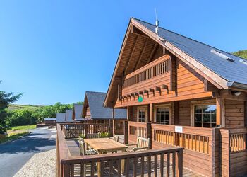 Osprey VIP, Osprey VIP (Pet) - Penrhos Park, Llanrhystud, Cardiganshire