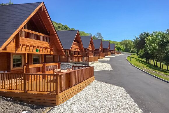 Kestrel VIP, Kestrel VIP (Pet) - Penrhos Park, Llanrhystud, Cardiganshire