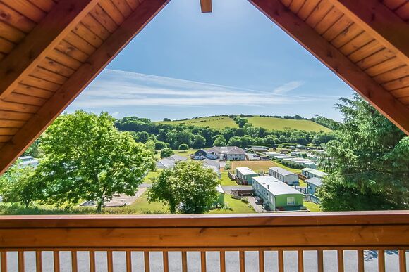 Kestrel VIP (Pet), Kestrel VIP - Penrhos Park, Llanrhystud, Cardiganshire