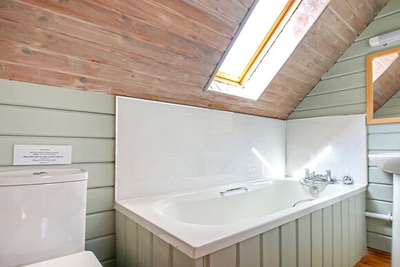 Kestrel VIP, Kestrel VIP (Pet) - Penrhos Park, Llanrhystud, Cardiganshire