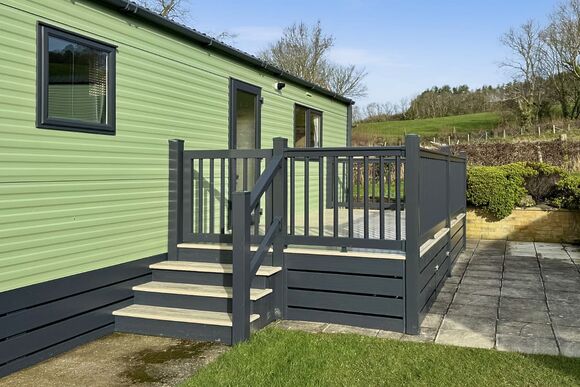 Eagle Gold (Pet) - Penrhos Park, Llanrhystud, Cardiganshire